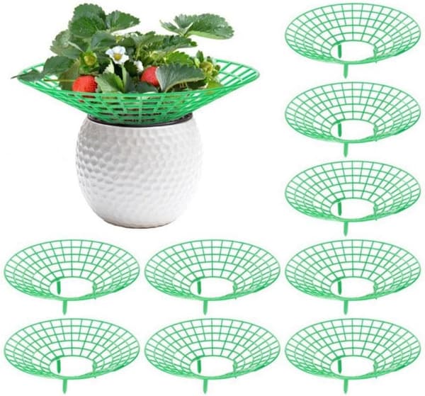10-pack Strawberry Support, Plant Support with 3 Legs, Strawberry Growing Stand 10 pcs. 10 pcs.