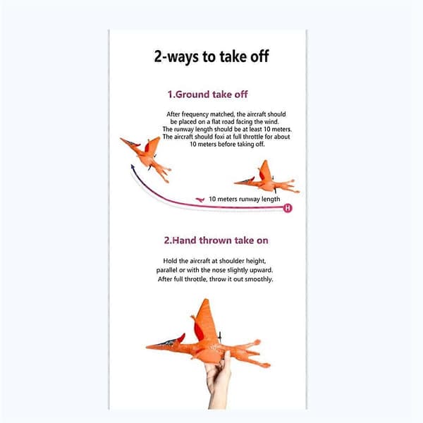 RC Airplane Remote Control Pterosaur 2.4Ghz 2 Channels DIY RC Pterosaur Control EPP Foam Glider Toys (Two Batteries) B