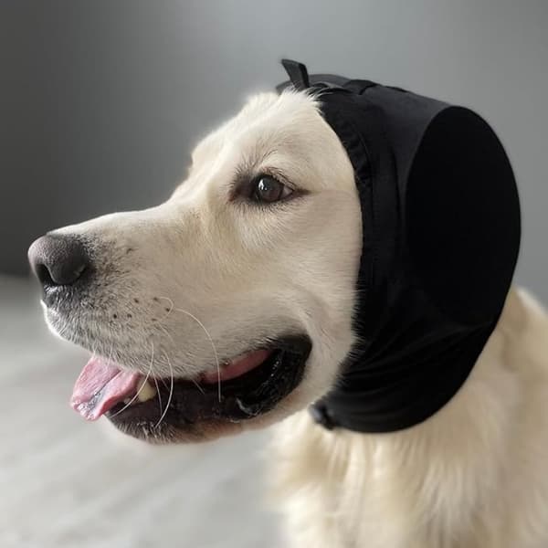 Støjreducerende høreværn til kæledyr - Hundehøreværn til angstlindring L