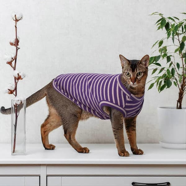 1 stk. Katte Tøj, Stribede Killinge T-shirts Uden Ærmer, Pullover Katte Trøjer, Sommer Tøj til Kæledyr til Små Hunde