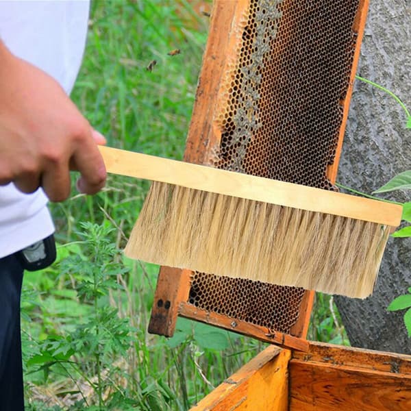 Bee brush with hog bristles and wooden handle - Beekeeping hive tool