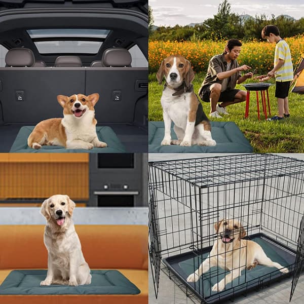 Hundemåtte, foldbar og vaskbar hundemadras, multifunktionel udendørs kæledyrsmadras (86*58cm)