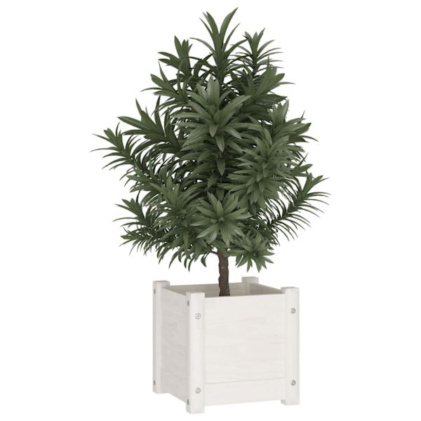 Plant box white 31x31x31 cm solid pine