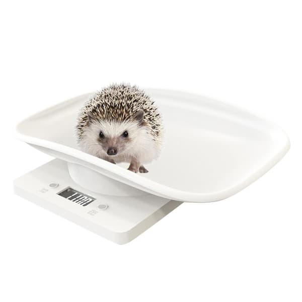 Digital Pet Scale Kitchen Scale Multifunctional LCD Electronic Scale 10kg Weight Scale Pet Accessories