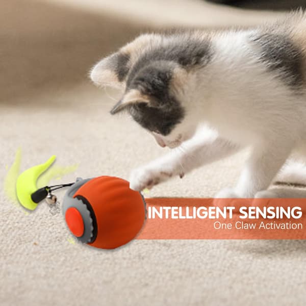 Interactive Cat Toy Automatic Rolling Ball with Tail Two Speed Adjustments Enriching Play Orange Blue