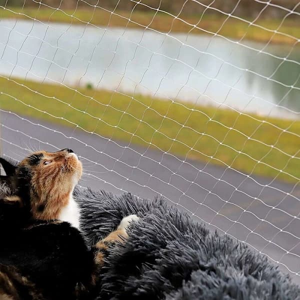 【xj】Sikkerhedsnet til kat - Transparent beskyttelsesnet til balkon - Anti-flugt