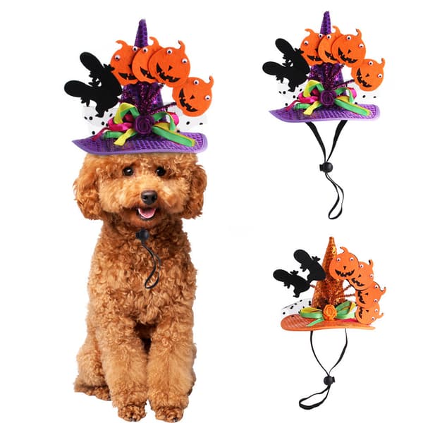 Dekorativ hundhatt pumpa med fladdermus som Halloween-hundleksak