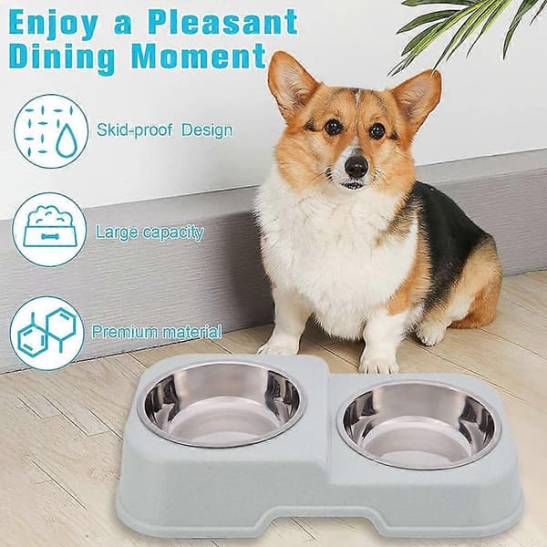 Hundeskåle Vand og Mad Dobbeltskåle i Rustfrit Stål, Dyremadsskåle til Mellemstore Hunde og Katte