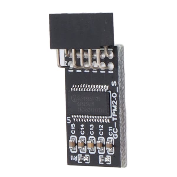 TPM 2.0 Modul LPC SPI 12Pin Fjernkort Krypterings Sikkerhetskort Tilbehør for GIGABYTE