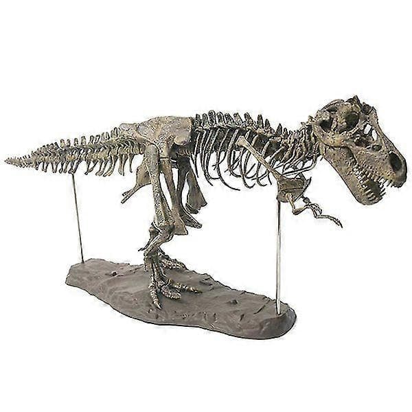 Tyrannosaurus Rex Skelet Dinosaurie Dyr Samlerobjekt Dekor Model Legetøj