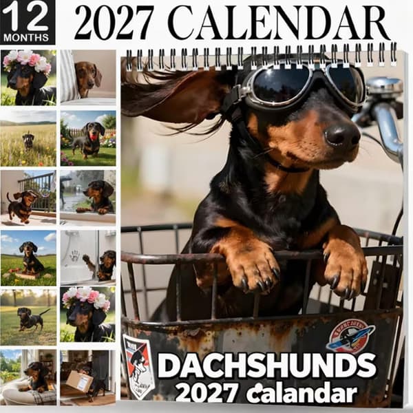 veggkalender 2027 - morsom å henge opp, månedsplanlegger for