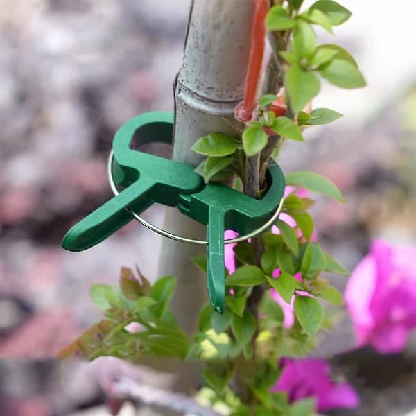 Adjustable Plant Support Clips, Reusable Garden Clips for Tomatoes, Cucumbers, Roses, Climbing Plants, Green, 100-Pack