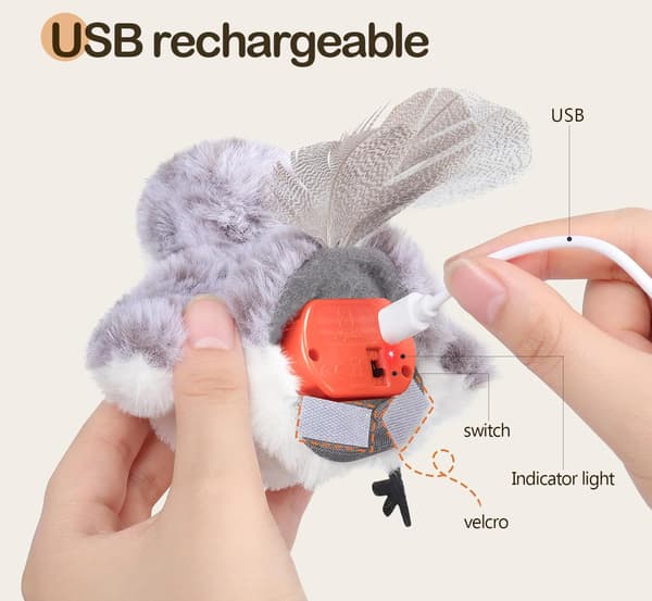 Realistic Plover Sound, Touch-Activated Interactive Cat Toy, Suitable for Indoor Cats (Cannot Fly).