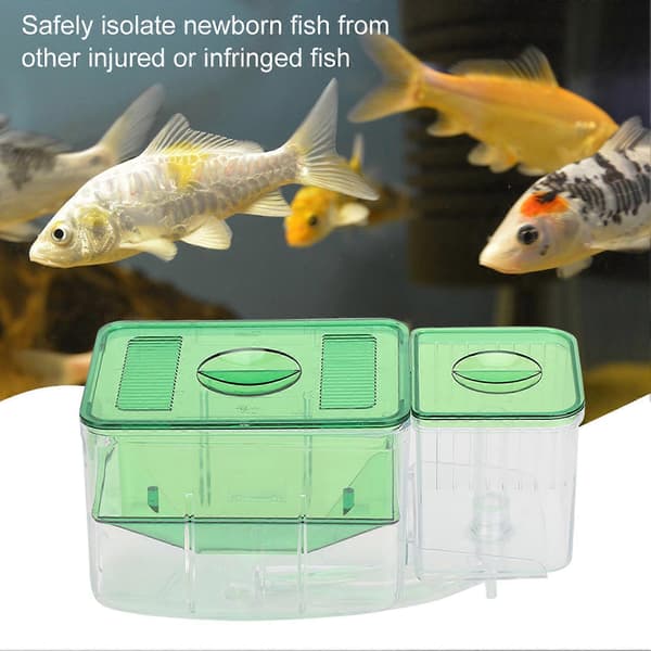 Double-Layer Aquarium Fish Breeding Box Isolation Incubator for Injured Small Fish Shrimp