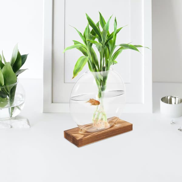 Hydroponikvas av glas med träbas, transparent för växter