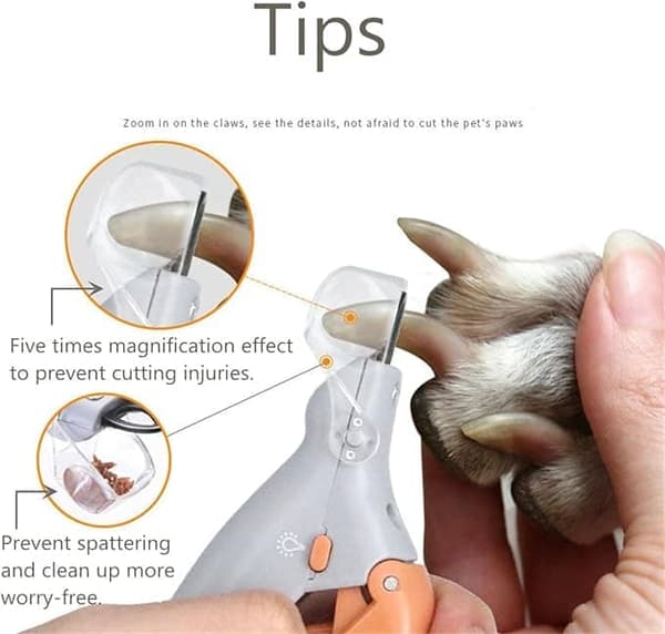 Pet Nail Clippers with Magnifying Glass and LED Light - Precision Grooming Tool