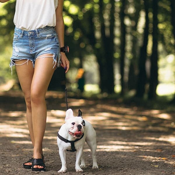 Infällbart hundkoppel justerbart 3 meter handledsrem löpning jogging husdjursdragrep terrierkoppel koppelbälte hundprodukt blå