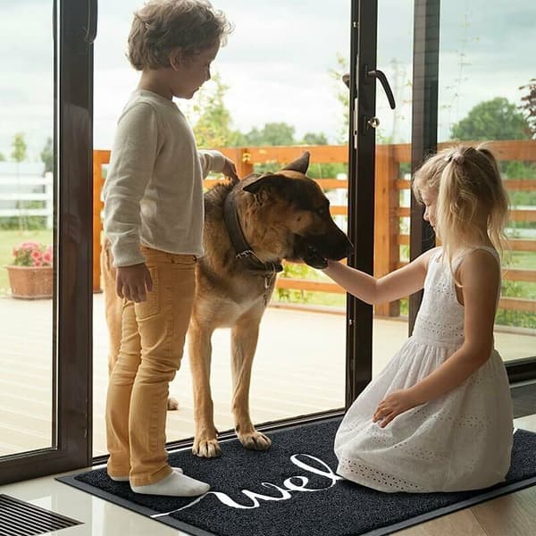 Durable Welcome Mat Flat Doormat Front Door Mat Indoor Outdoor Doormat (Welcome)