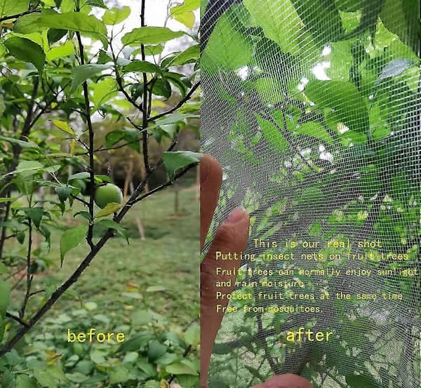Fruit Tree Net 1.8m X 1.8m, Plant Insect Net, Fine Mesh Insect Net With Drawstring