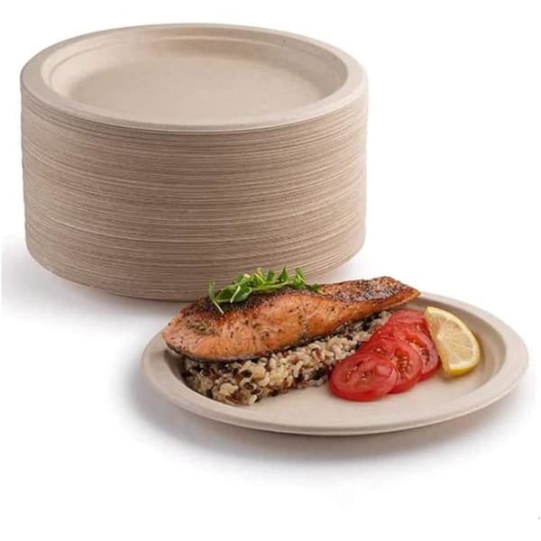 50 paper plates, 100% biodegradable and compostable, organic, recyclable, suitable for picnics (25.4 cm).