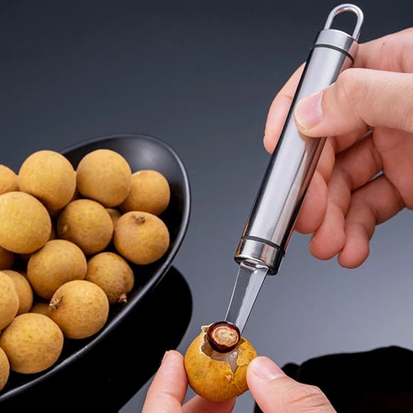 Stainless Steel Fruit Corer Multifunctional Manual Longan Corer for Kitchen 1 1