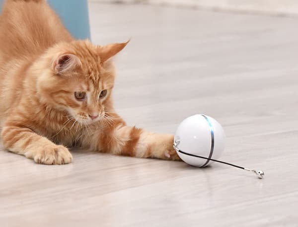 Smart White Interactive Self-Rolling Cat Ball - 7 LEDs, includes USB cable, feather, bell