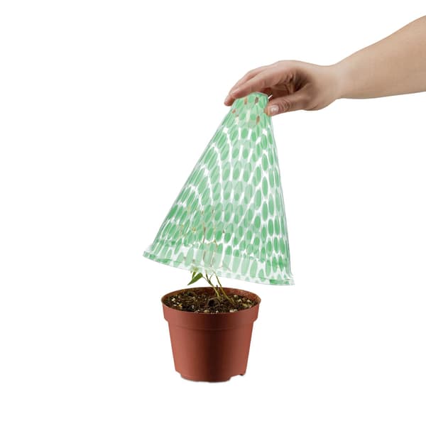 Pilkullinen vihreä kasvikartio, 24 kpl:n setti 470