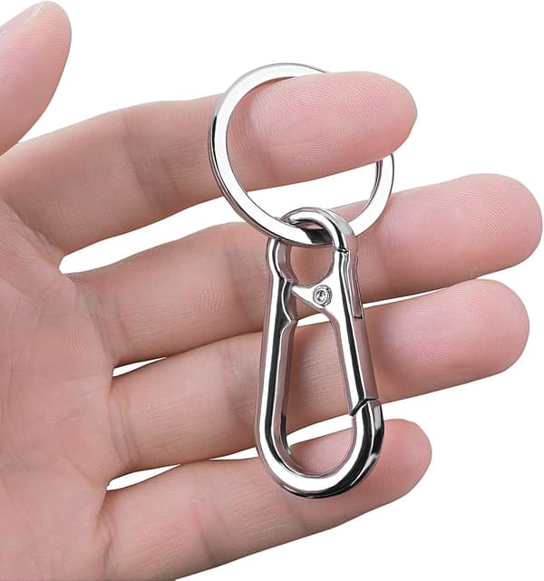 Metal Carabiner Keychain Chain Clip Hook Organizer for Unisex 4-Pack