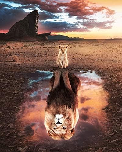 5D Diamond Painting Lion, 30x40 cm DIY Cat Circle Full Diamond Em