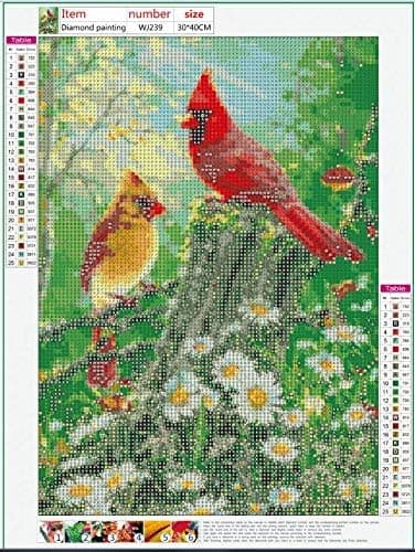 Diamantmålning konstset Fåglar, 30x40 cm full cirkelborr broderi