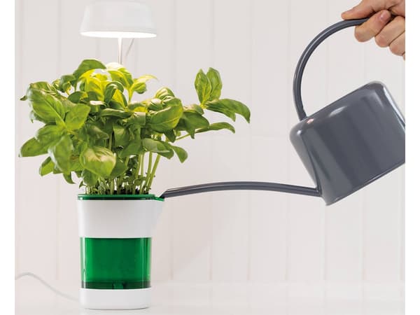 Plant Growth Panel Lamp 6 LED 4 UV Self-Watering Pot 264