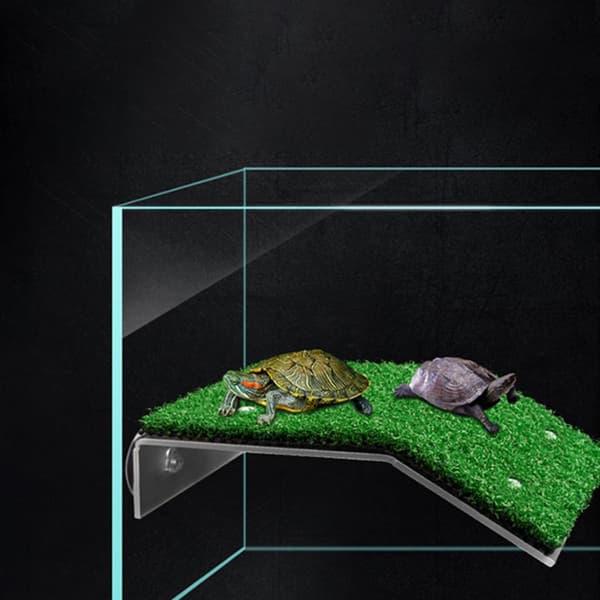Solplattform for skilpadder, klatreplattform reptiler 2 stk -