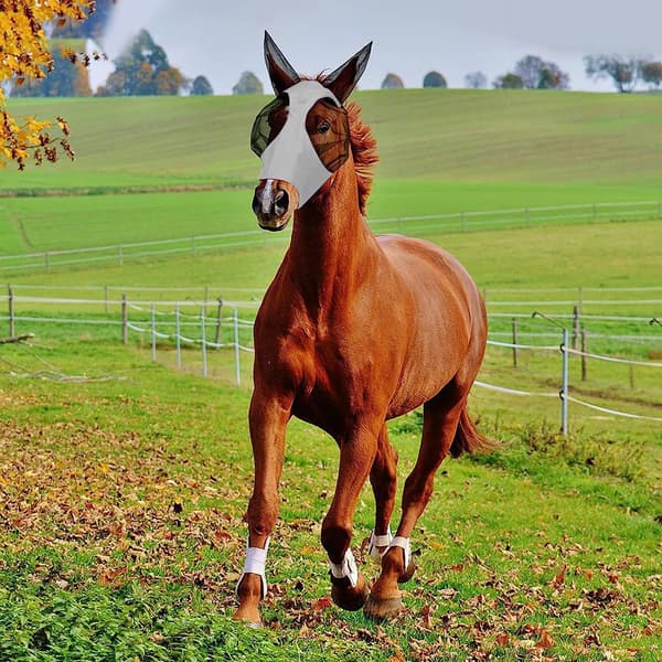 Horse Fly Mask with Ears for UV and Fly Protection, Comfortable Stretchable Suitable for Most Large Horses