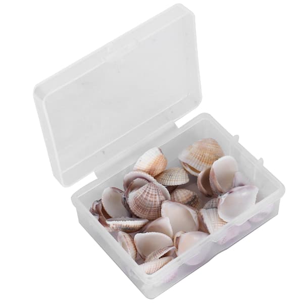 DIY Crafts Natural Shells Jewelry Making Beach Party Wedding Seashell Decorations