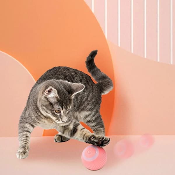 Intelligent Automatic Rolling Ball Cat Toy with Catnip, USB Electric Interactive Cat Toy for Indoor Play Training, 4.3cm, Pink
