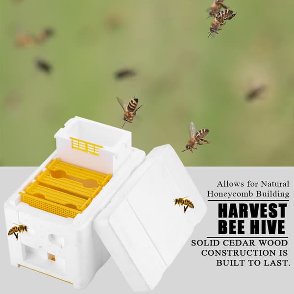 Harvest Beehive Mehiläishoitokuningatarlaatikko Pölytyslaatikko Mehiläishoitotyökalu