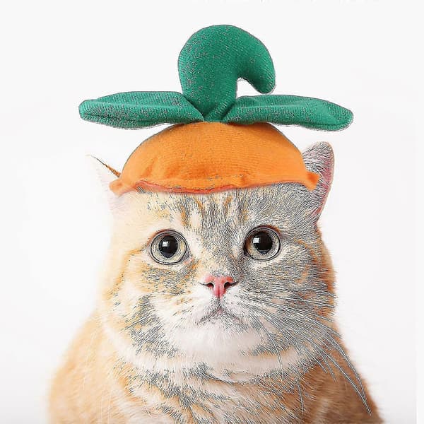 Sjove kæledyrstøj Græskarhat Halloween Sød Lille Medium Kat Hund Udklædning