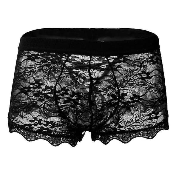 Lace Transparent Mesh Low Waist Men's Briefs Boyshort