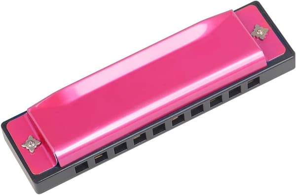 Blues Harmonica, Diatonic Blues Harmonica in C Key, 10 Holes 20 Tones Blues Harp Harmonica (Rose Red) rose rose