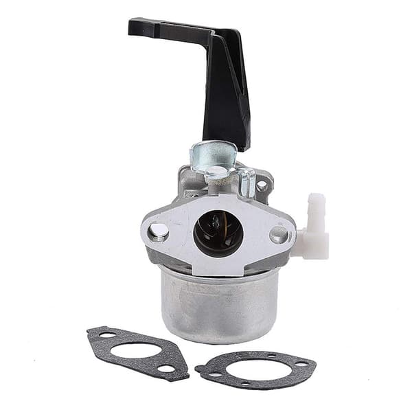 696065 697422 Carburetor with mounting gasket