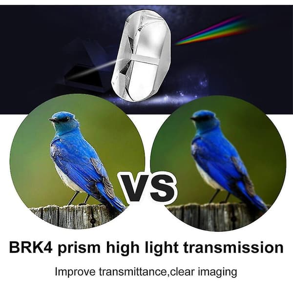 Earthquake Lättvikts - 10x22 Högopløsnings Kikkert til Børn