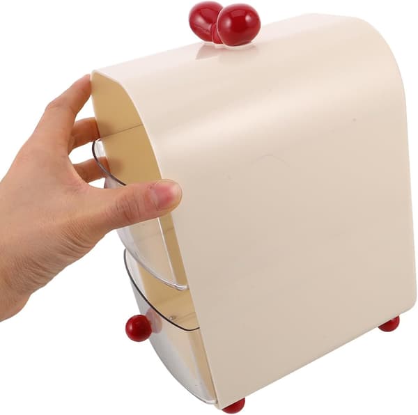 Storage Boxes for Office Supplies, Makeup, and Hair Accessories, Desk Organizer