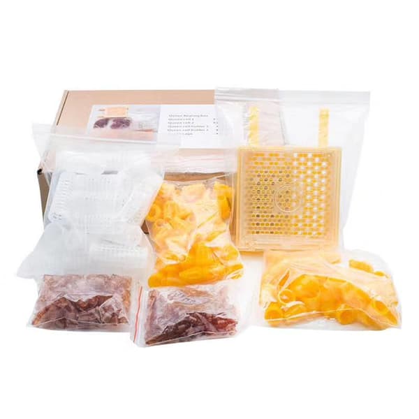 Beekeeping Queen Rearing Kit Cell Cups Catcher Box Roller Cages for Breeding Beekeepers Beehive Tool Apiculture System
