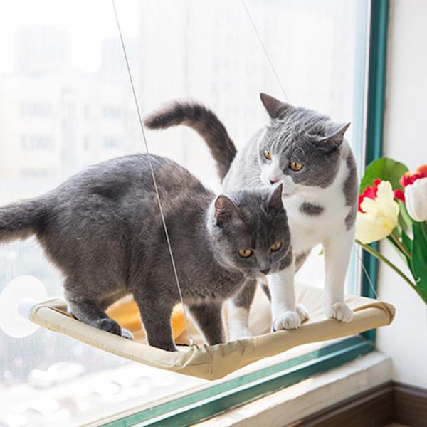 Window Mounted Pet Bed Suction Cup Hanging Sunshine Hammock Perch Cushion For Cat