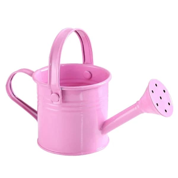 100% New, Mini Iron Watering Can, Spray Bottle, Metal Forging with Handle, Sprinkled Shower Pink
