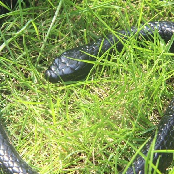 Realistisk gummiormleke 50 tommer Mamba for hageutstyr KLB