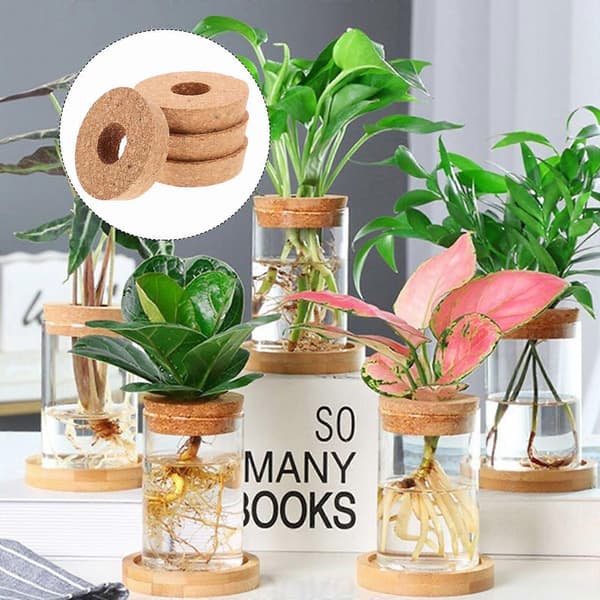 4 stk. hydroponisk vaselåg, hult låg til vase, glasvaselåg, hydroponisk plantepottelåg