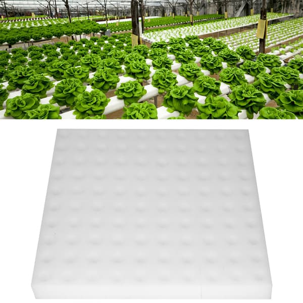 100 Pcs Hydroponic Sponge Planting Tool Square Plant Sponges for Greenhouse