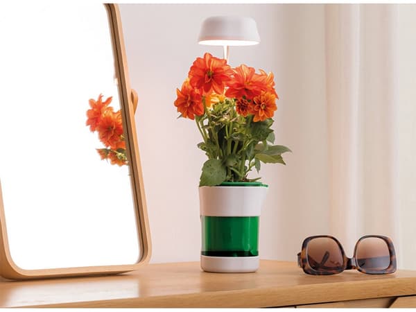 Plant Growth Panel Lamp 6 LED 4 UV Self-Watering Pot 264
