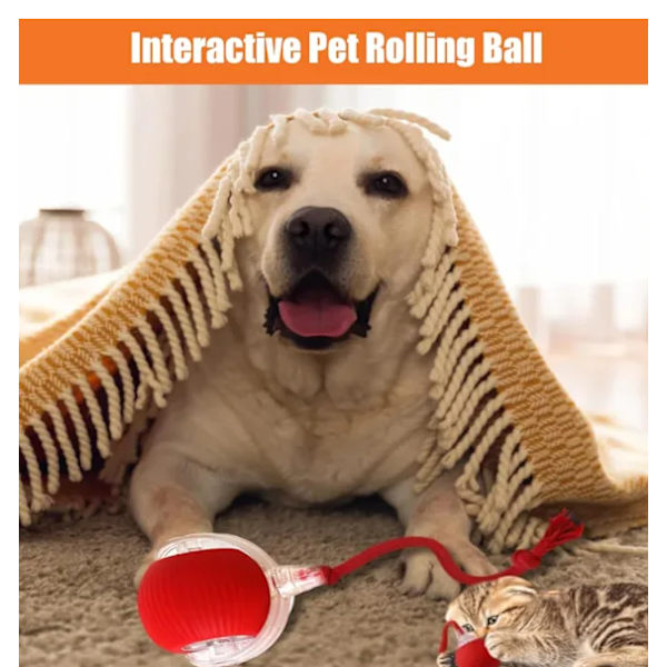 Rolling Ball for Dogs and Cats, Interactive Toy with 360° Intelligent Obstacle Avoidance, Grey